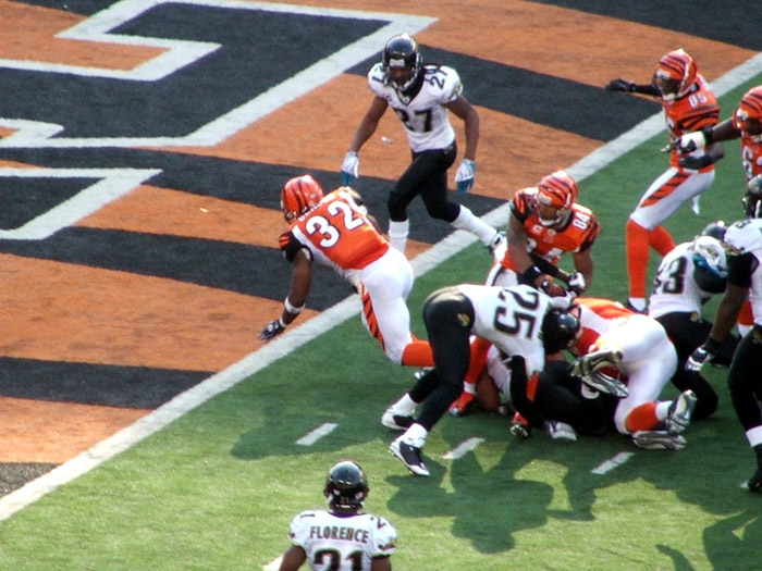 Touchdown! - #32 Cedric Benson