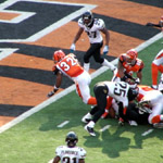 Touchdown! - #32 Cedric Benson