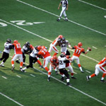#11 Ryan Fitzpatrick