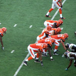 Bengals