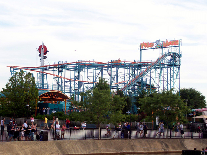Wild Mouse