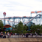Wild Mouse