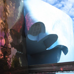 EMP