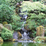 Japanese Garden