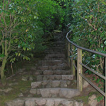 Japanese Garden