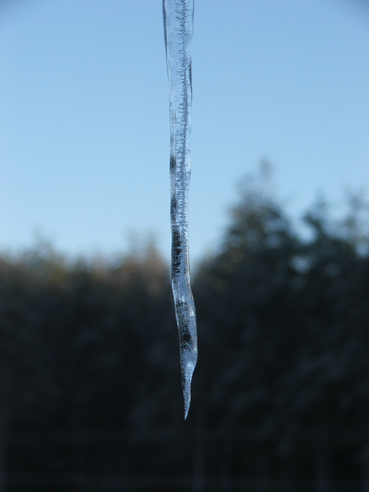Ice Storm