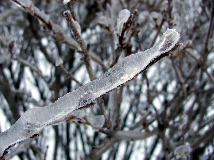 Ice Storm