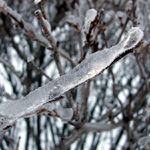 Ice Storm - 1/28-31/2009