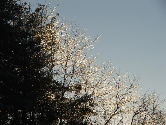 Ice Storm