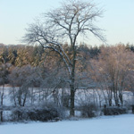 Ice Storm