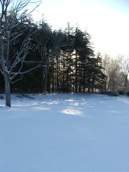 Ice Storm