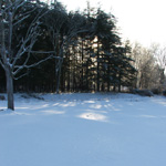 Ice Storm
