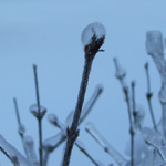 Ice Storm