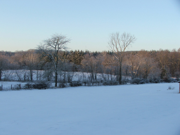 Ice Storm