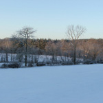 Ice Storm