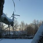 Ice Storm