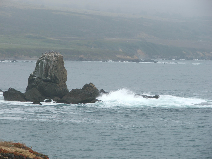 Pigeon Point