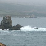 Pigeon Point