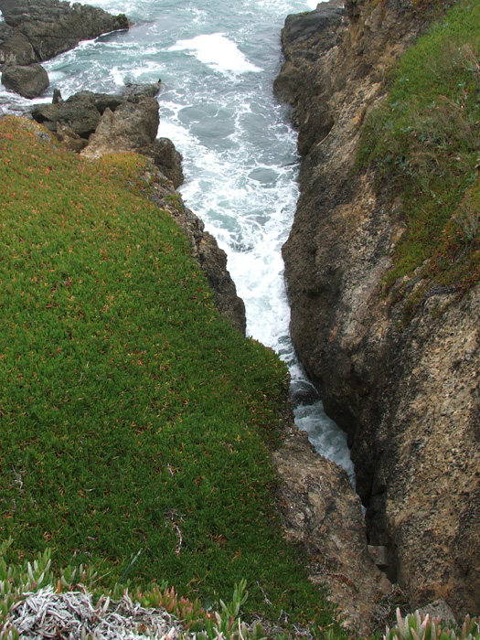 Pigeon Point