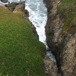 Pigeon Point