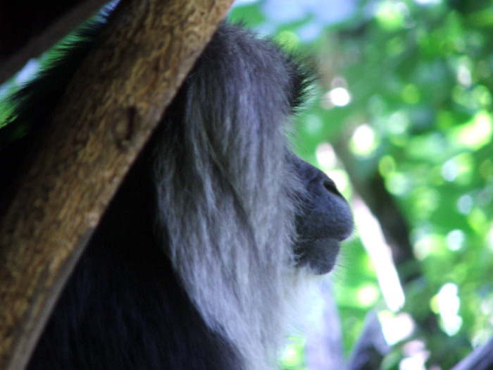 Woodland Park Zoo