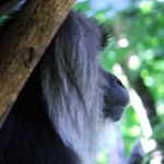 Woodland Park Zoo