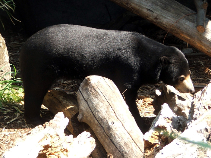 Woodland Park Zoo