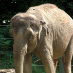 Woodland Park Zoo