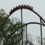 Diamondback