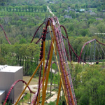 Diamondback