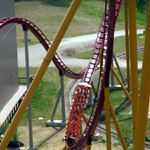 Diamondback