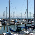 Fisherman's Wharf