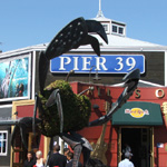 Pier 39