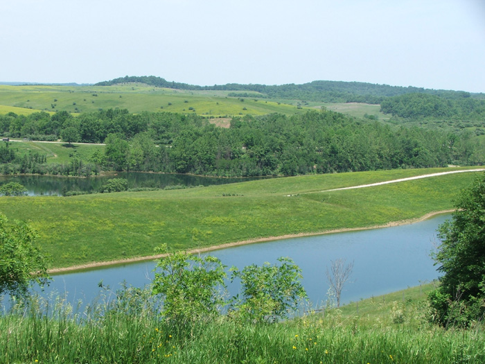 The Wilds