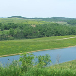 The Wilds