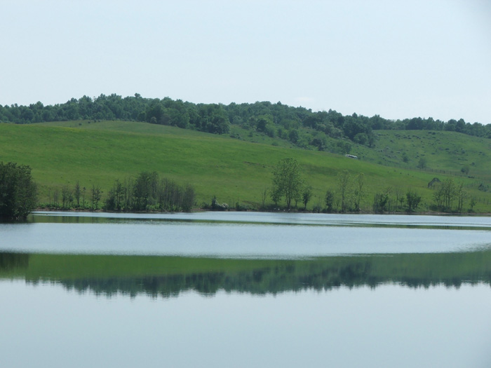 The Wilds