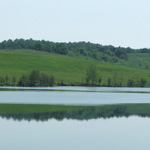 The Wilds