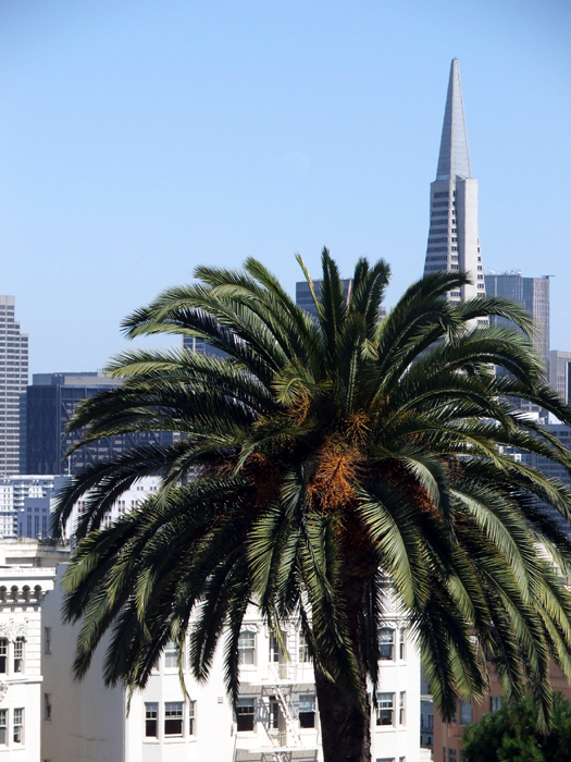 Transamerica Pyramid