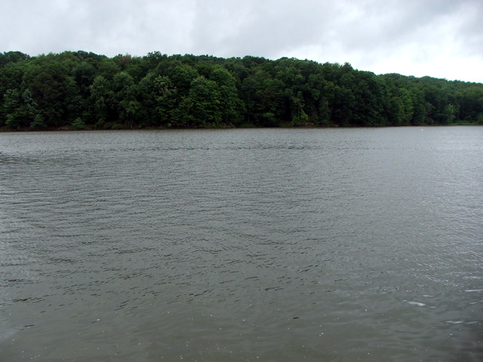 Salt Fork State Park