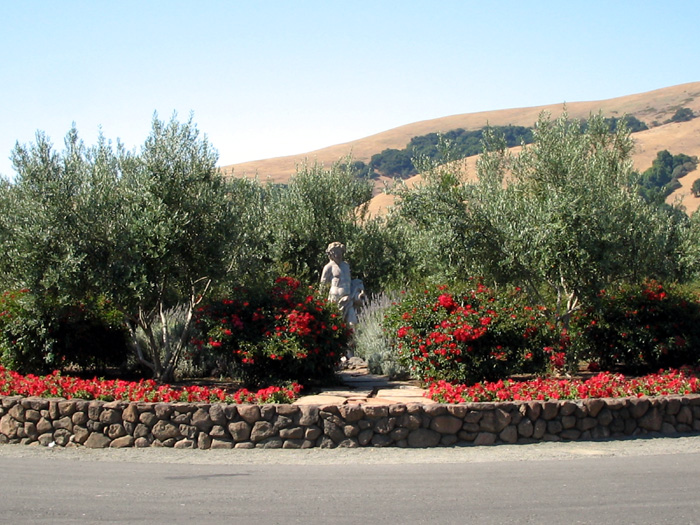 Viansna Winery, Sonoma