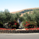 Viansna Winery, Sonoma
