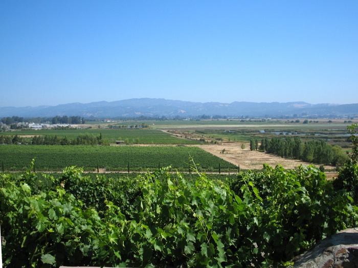 Viansna Winery, Sonoma