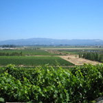 Viansna Winery, Sonoma