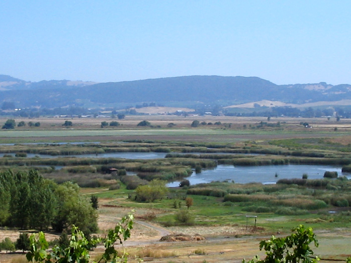 Viansna Winery, Sonoma