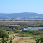 Viansna Winery, Sonoma
