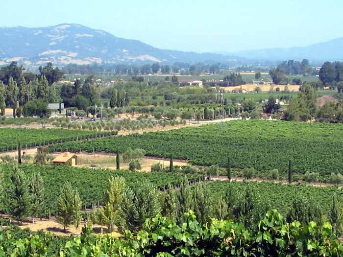 Viansna Winery, Sonoma