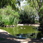 Sonoma City Park