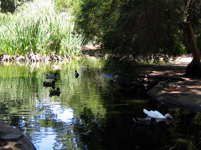 Sonoma City Park