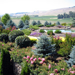 Kirkland Ranch Winery, Napa