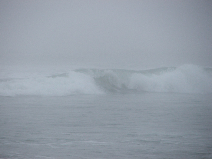 Golden Gate Park Beach